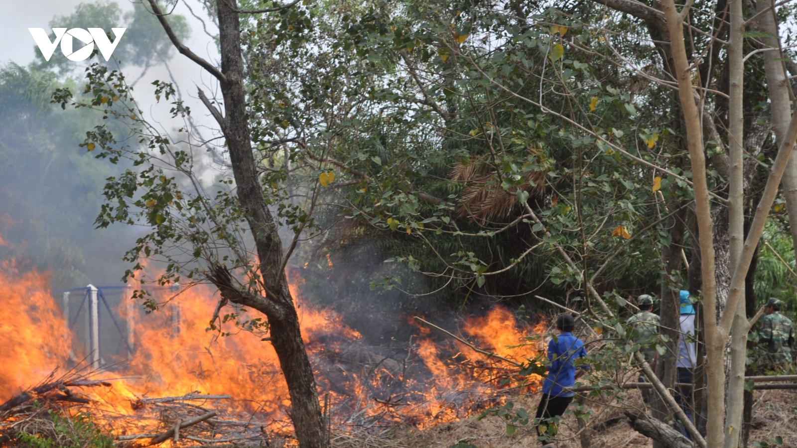 Vườn chim Bạc Liêu cảnh báo cháy rừng cấp 5, cấp cực kỳ nguy hiểm
